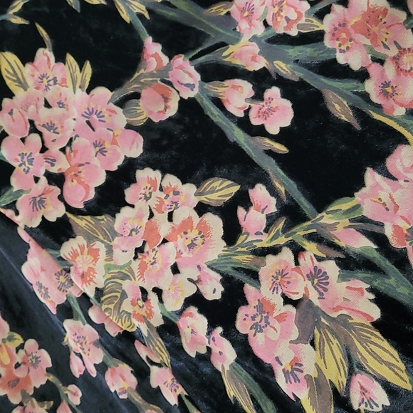 Dex Burnout Velvet Dress - Picture 4 of 14